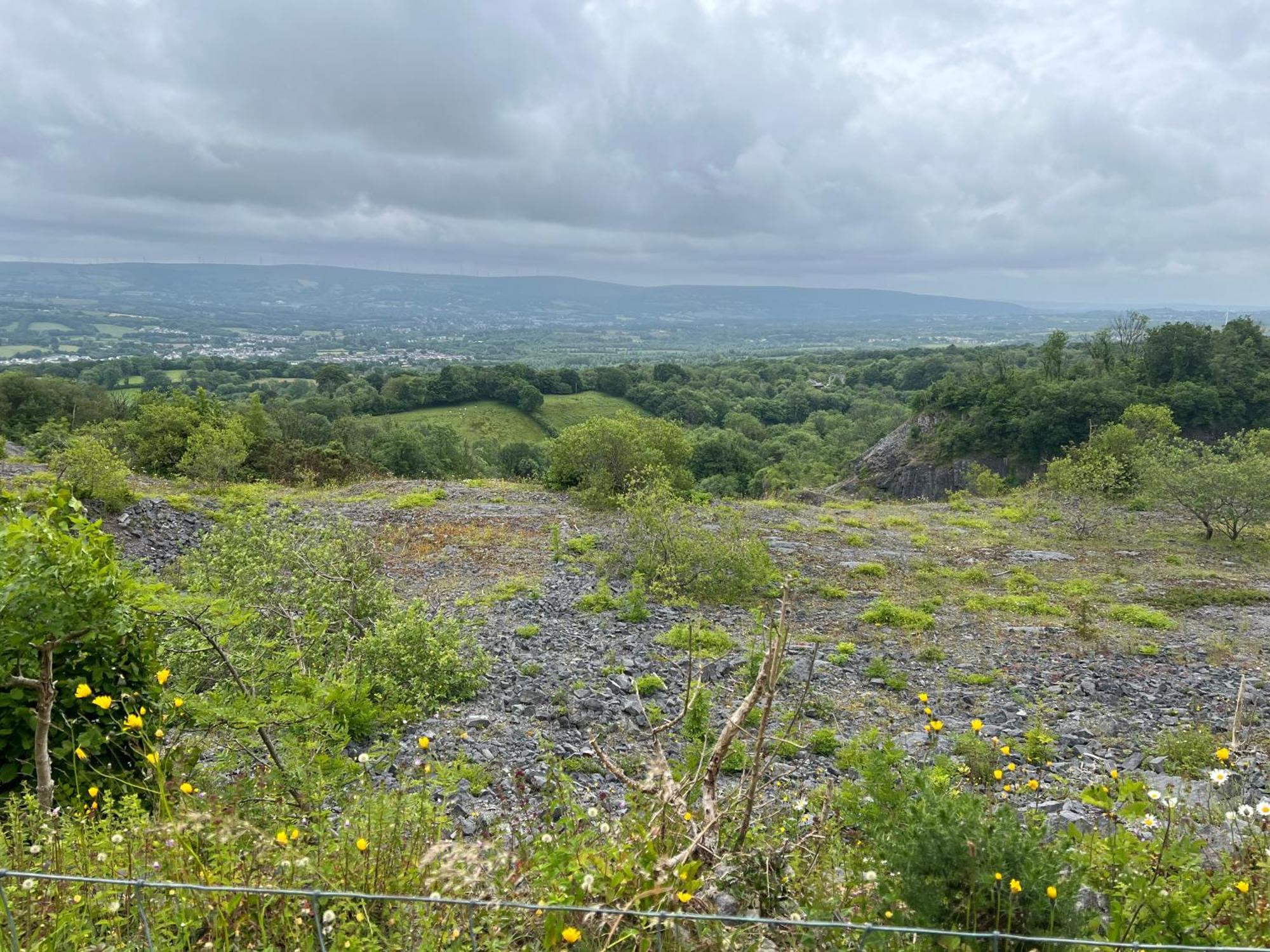 Kabin In The Woods Llandybie Exterior photo